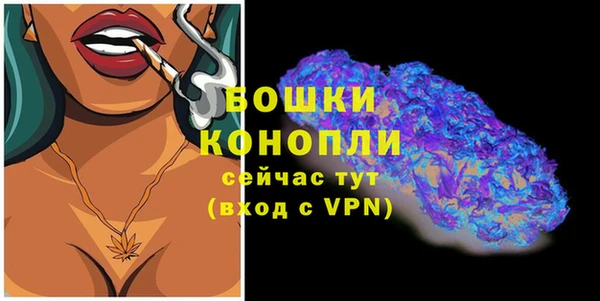 ECSTASY Липки