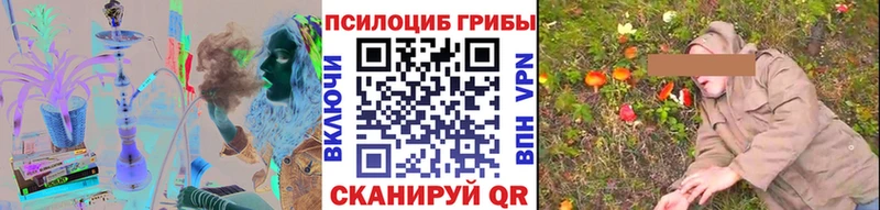 Псилоцибиновые грибы Psilocybe  Менделеевск 