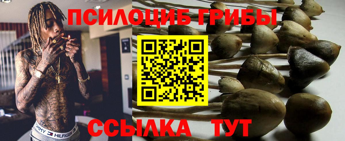 Галлюциногенные грибы MAGIC MUSHROOMS  наркошоп  Менделеевск  Псилоцибиновые грибы GOLDEN TEACHER 