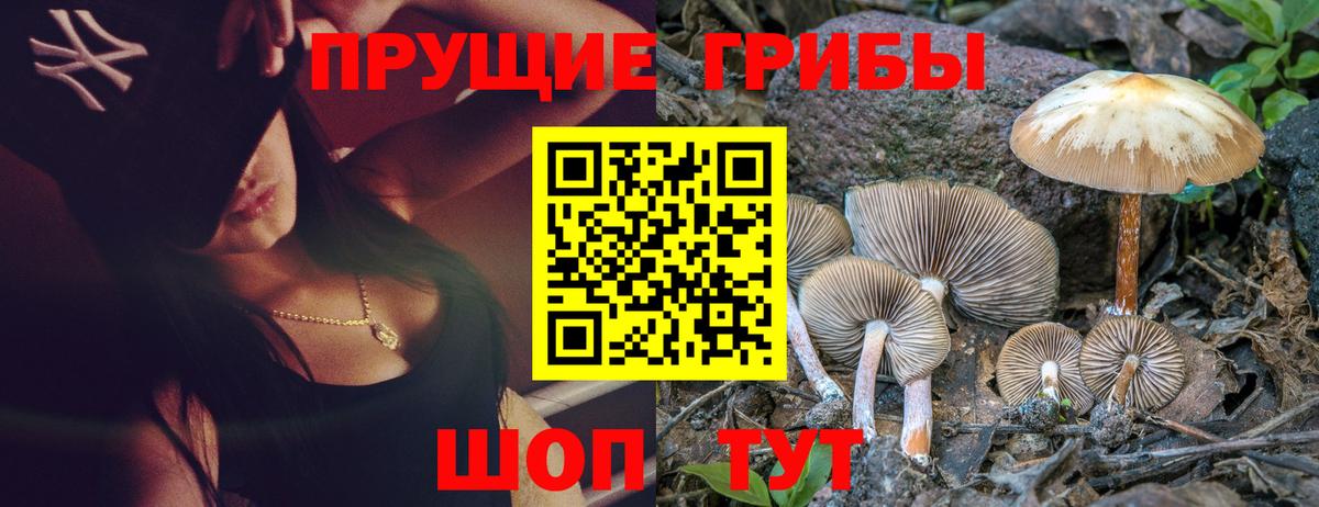 Галлюциногенные грибы прущие грибы Менделеевск